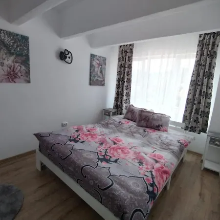 Apartament Alyosha Sighişoara Exterior foto
