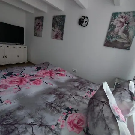 Apartament Alyosha Sighişoara Exterior foto