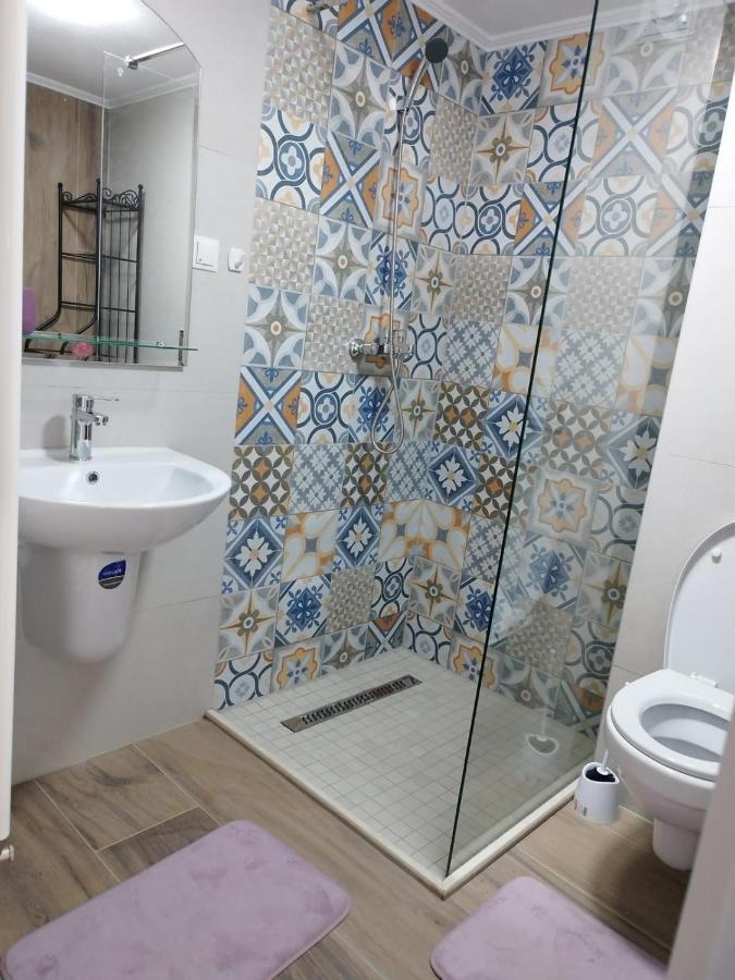 Apartment Alyosha Sighisoara